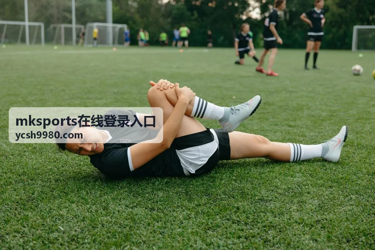mksports在线登录入口入口指引推荐封面